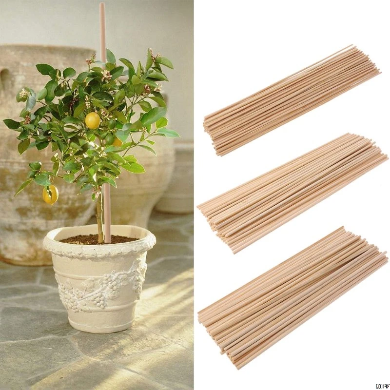 50 деревянных растений поддержка выращивания бамбуковые палочки для растений садовые трости растения Цветок поддержка трость