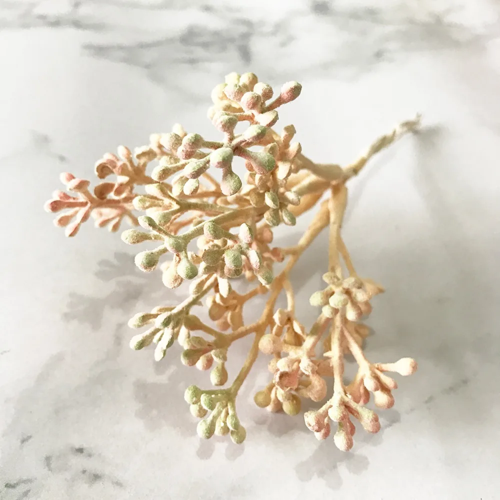 2020_07_09_17_42_IMG_8706 副本