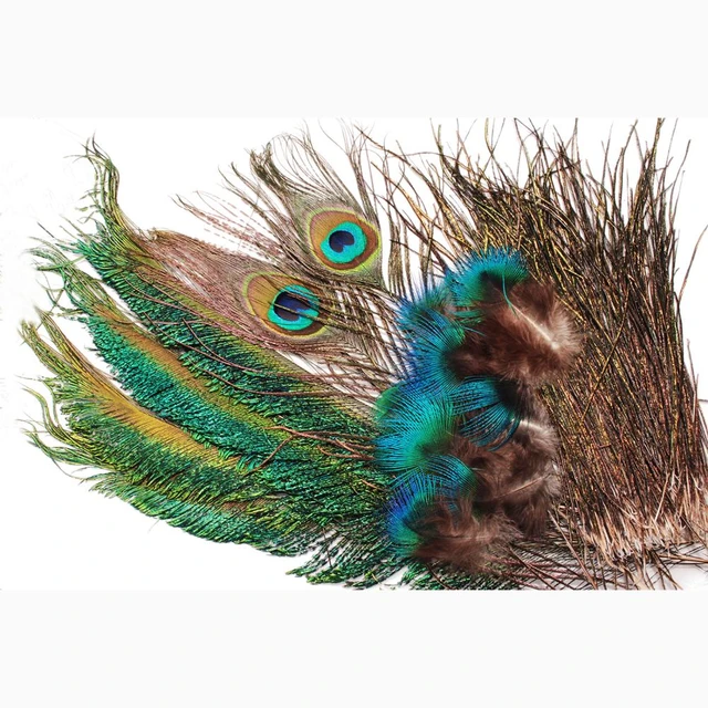 Creative Angler Peacock Eye Feathers for Fly Tying or Tying Flies. 4  Feather per Pack