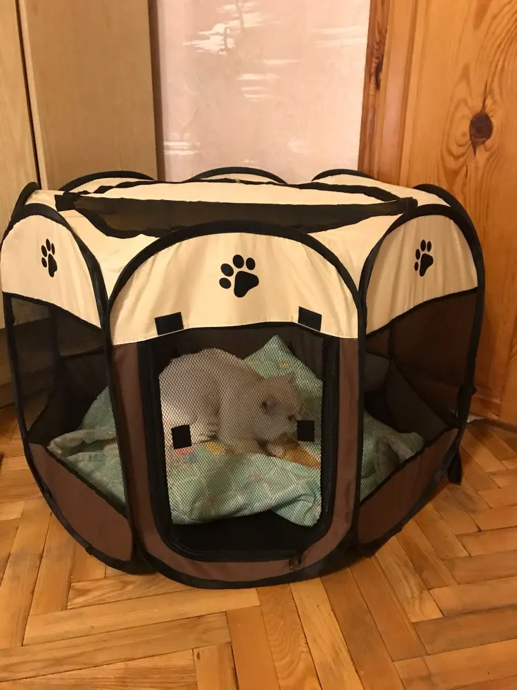 U10cf11acd6194dfa9ef7a6b2fd3e59776