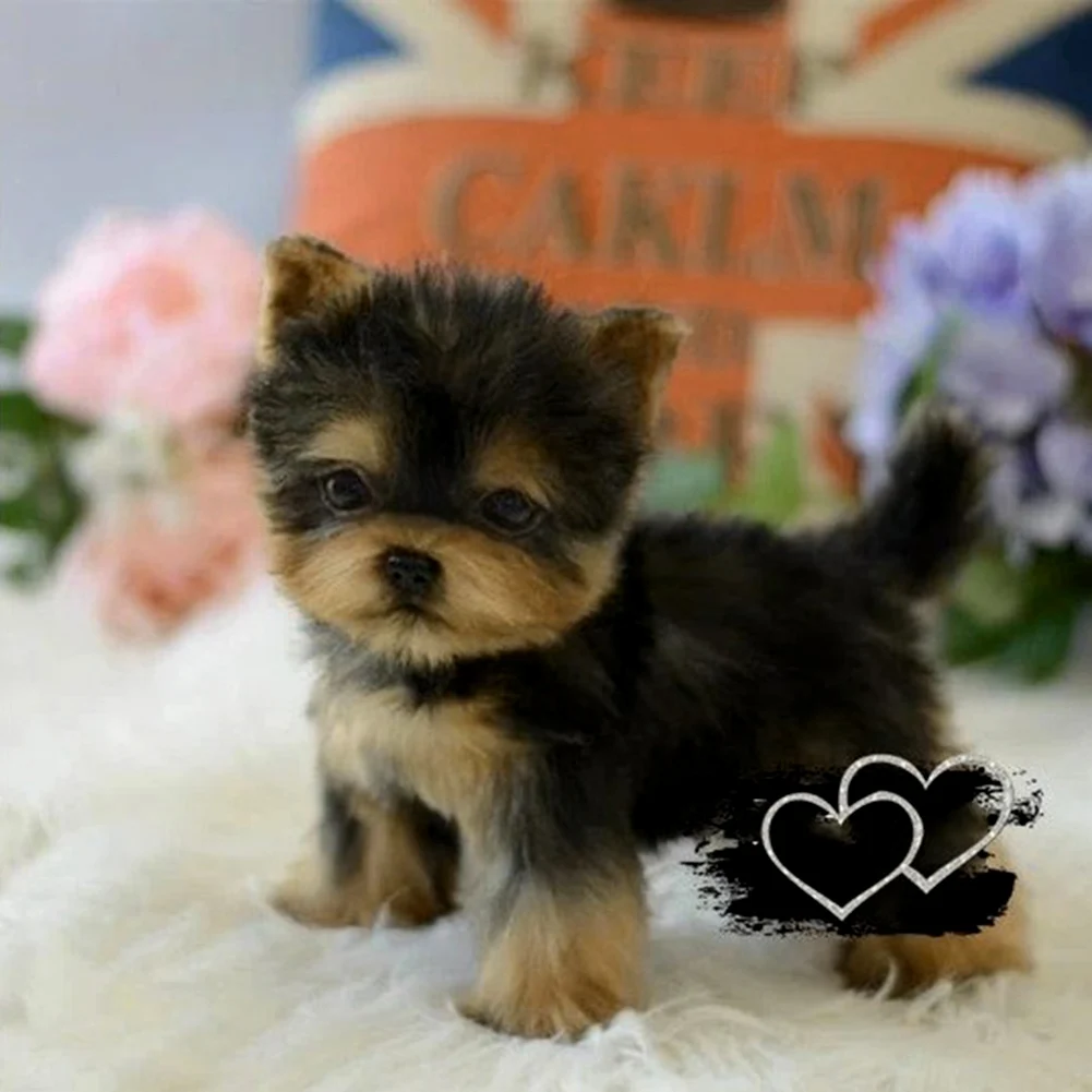 stuffed yorkie puppy