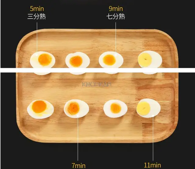 Electric Rapid Stainless Steel 7 Egg cooker Auto Shut Off – Modern