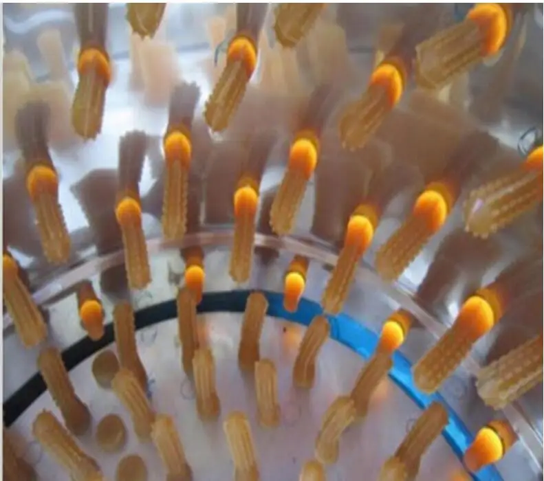 QQ截图20201029135452