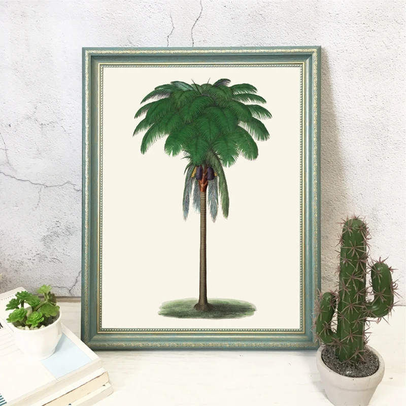 Tropical-Palm-Tree-Vintage-Illustrations-Posters-and-Prints-Palm-Trees-Botanical-Wall-Art-Canvas-Painting-Pictures (3)