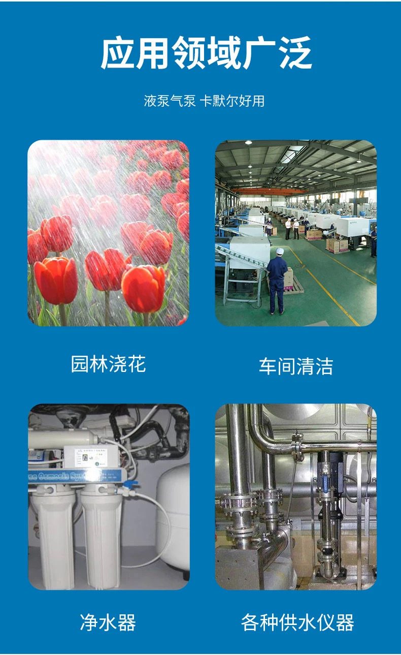 KLP40_05.jpg
