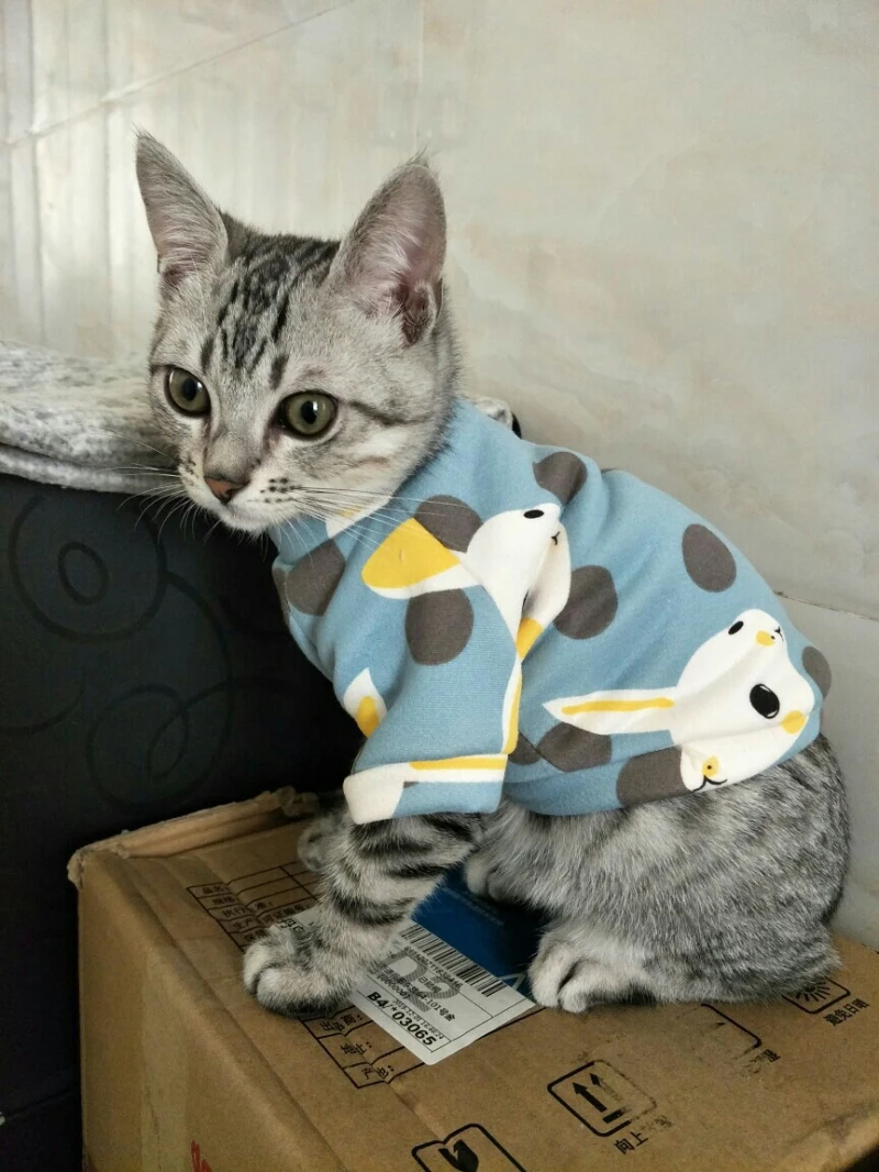 Одежда для кошек, зимняя Толстовка для собак, милый мультяшный щенок, одежда, костюм для маленькой собачки, одежда для чихуахуа, Йоркского пуделя, померанского питомца