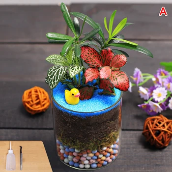 

Mini Small Clear Ball Shape Cute Glass Vase Flower Plant Micro Landscape Bottle for Decor Home QP2