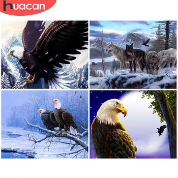 

HUACAN Oil Painting By Number Animal Handpainted Wall Art Pictures By Number Eagle Drawing Acrylic Gift Home Decor