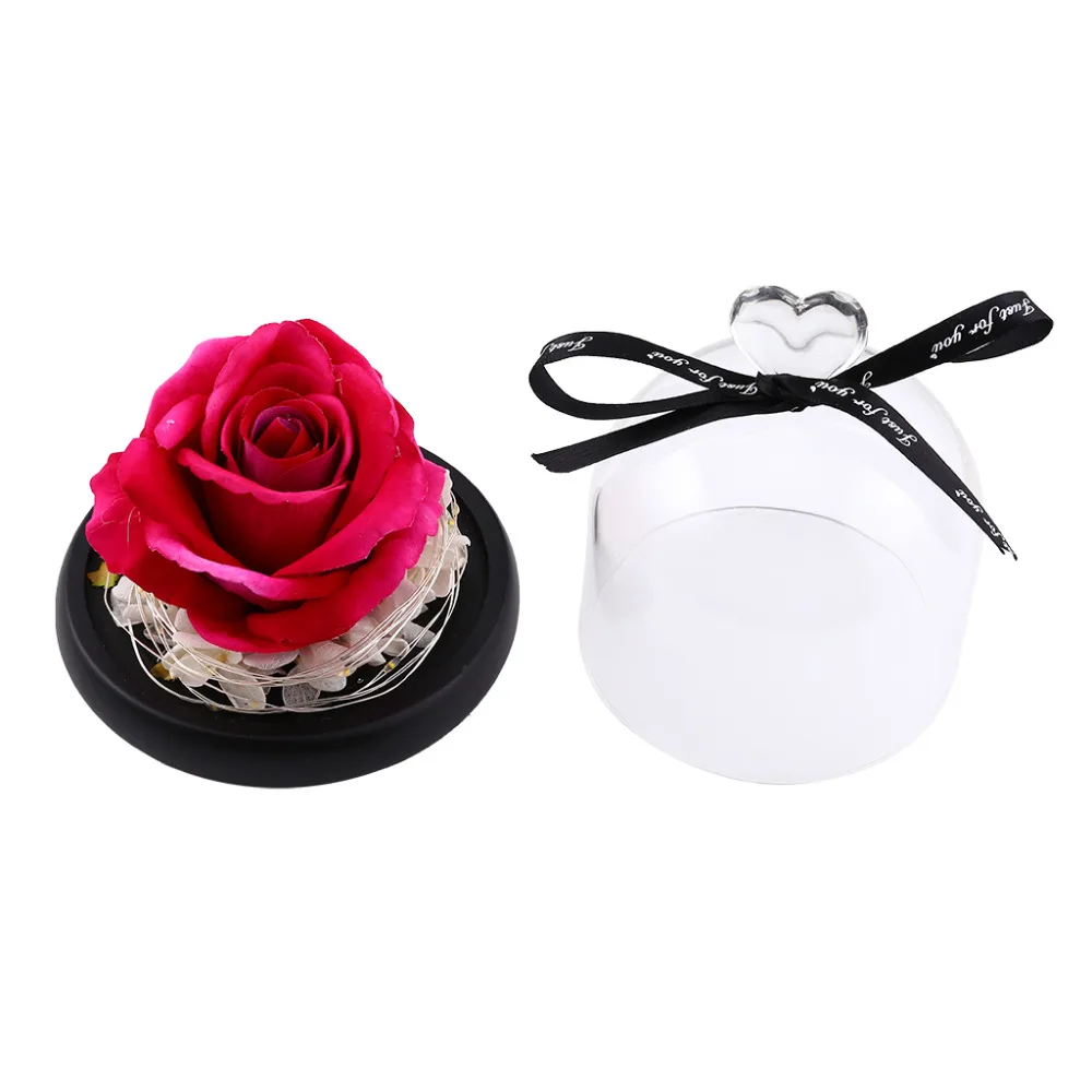 7f65a248e206aca3a3a68c2dbc740121