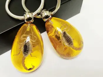 

10 pcs Gold Scorpion Insect Yellow Color KeyChain Taxidermy Display
