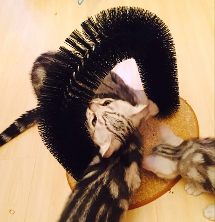 11020814568_1313392552