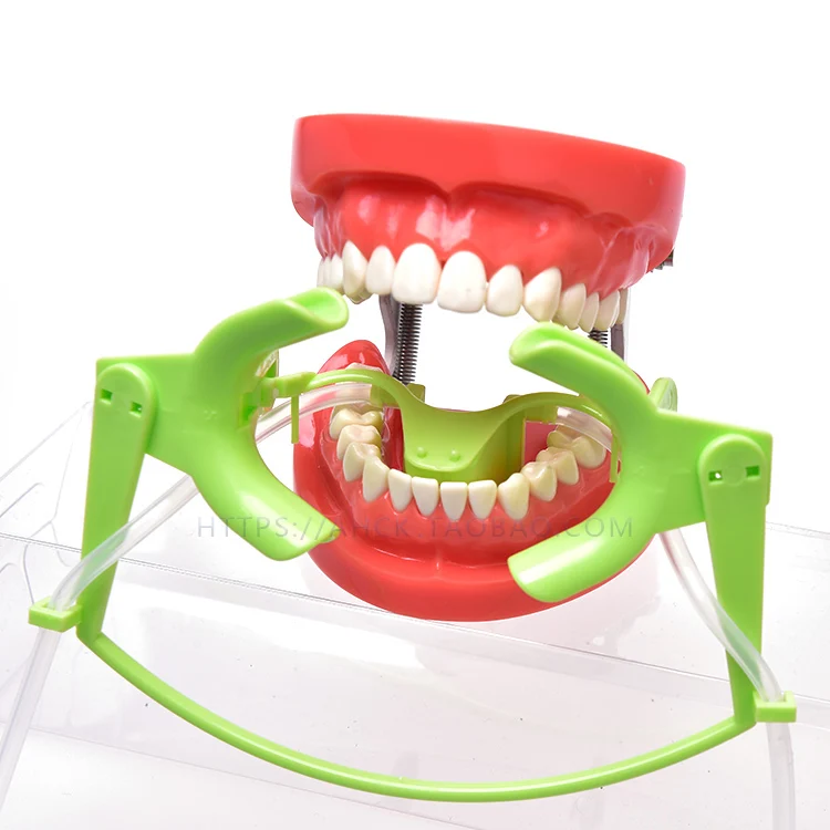 

1pc Orthodontic Cheek Retractor with Salive Suction Function Mouth Opener Suit for Teeth Whitening and Orthodontic