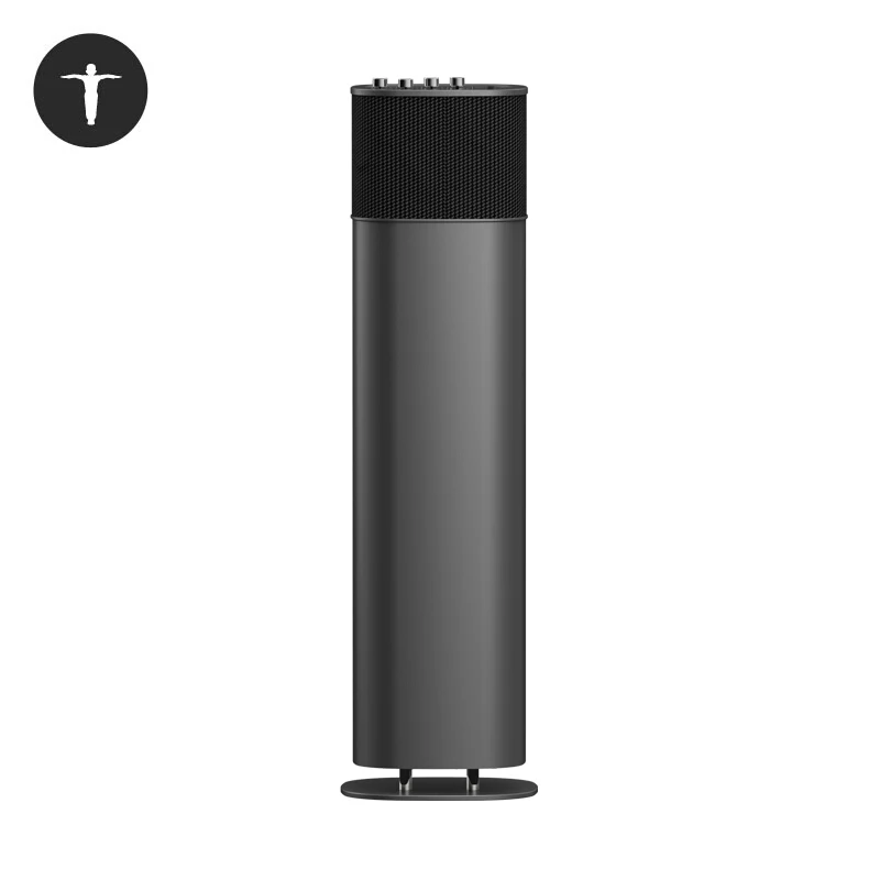Dark Gray 100 Вт Bluetooth компьютерный домашний динамик со встроенной волной DPAC VTD Технология 5 рогов высокие басы СЧ Регулируемый динамик HDMI ARC - Цвет: Dark Gray