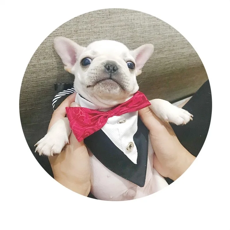 Галстук в виде французского бульдога корги мужской ошейник свадебный костюм