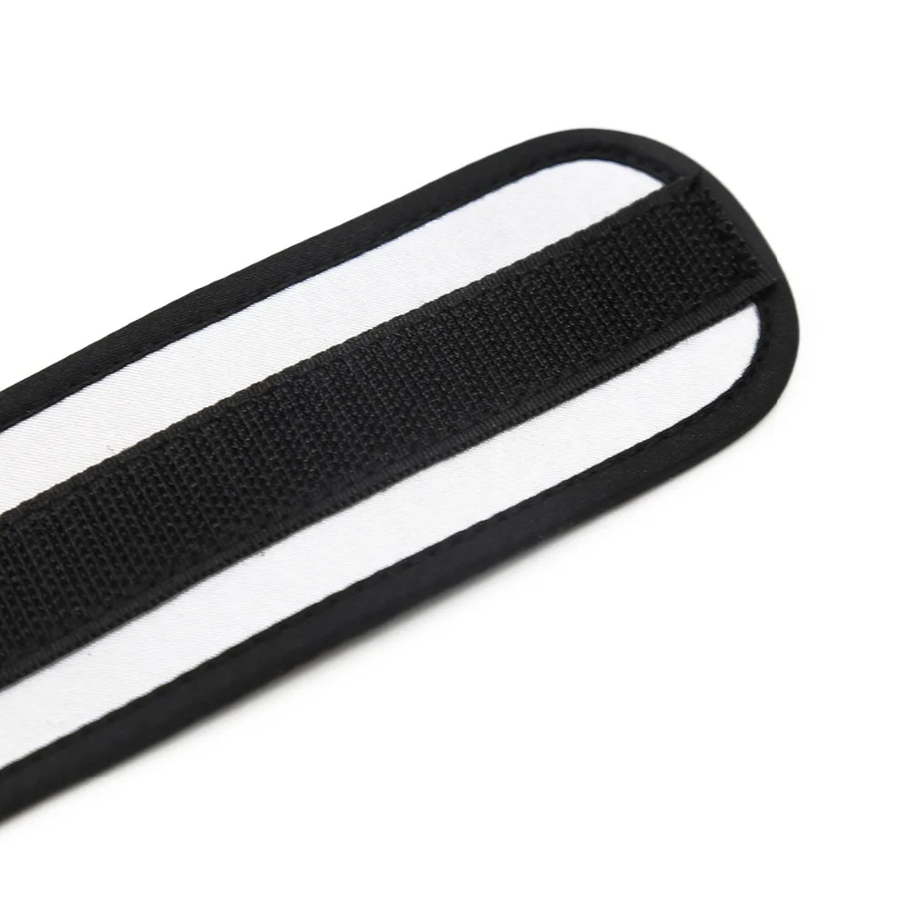 11651271739_1557592402