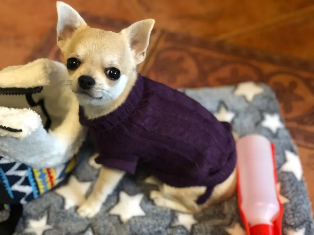 Ua846a2b59a8447efa928f746a9e0eb57t