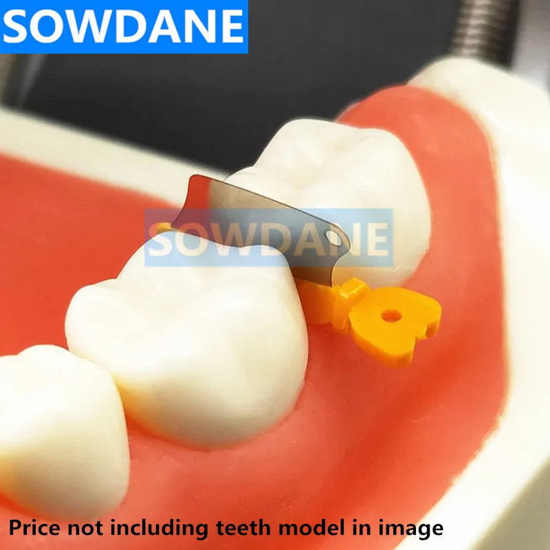 1C1768F6AB11CC3B22E552CB22B11330_副本_副本