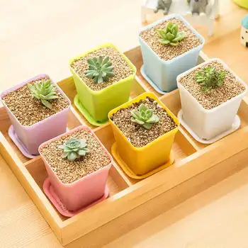 

10pcs Wholesale Flower Pots Mini Flowerpot Garden Unbreakable Plastic Nursery Pots for Succulent plants 7 Colors
