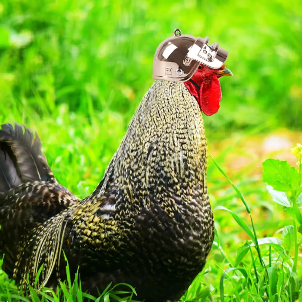 Chicken Helmet Small Pet Hard Hat Funny Chicken Helmet Hen Hard Bird Hat Headgear Protective Pet Cap Sun Rain Protection