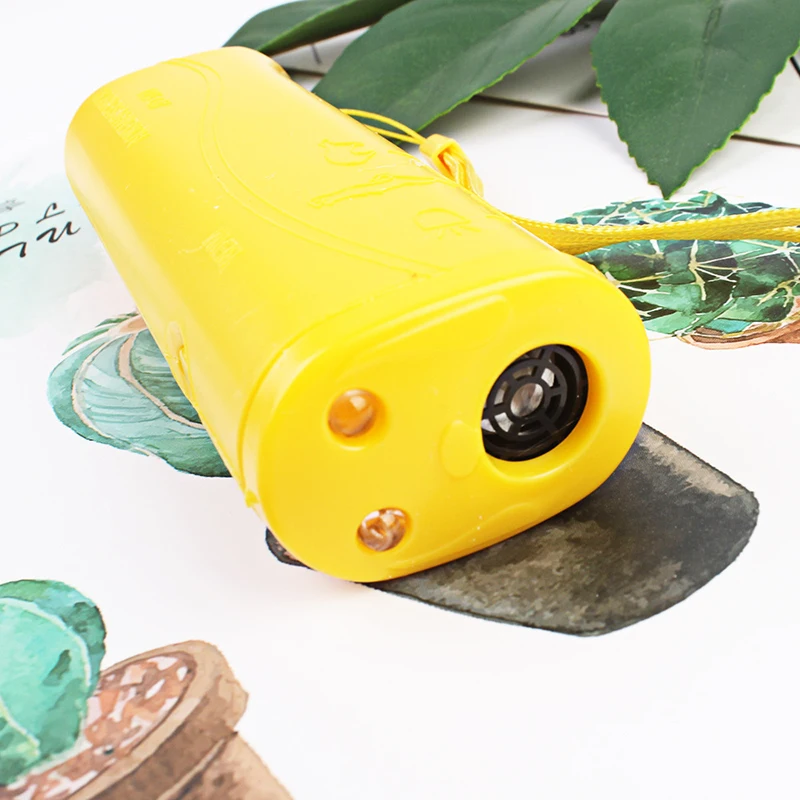 11494410413_1774737292