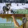 20MP 1080P Mini Trail Hunting Camera Wildlife Cameras 850NM  Night Vision Mini600  Animal Cam Photo Trap Surveillance Tracking 1