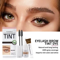 ICONSIGN Eyelash Eyebrow Dye Tint Kit Brow Enhancer Mascara Lift Tinting Tattoo Eyes Makeup Tools 2