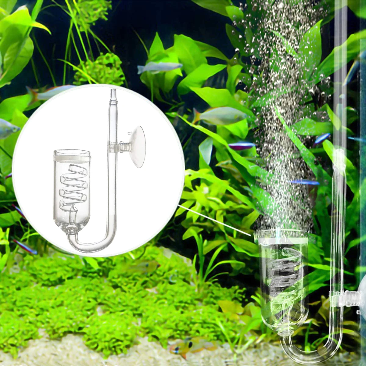 Aquarium Co2 Diffuse Atomizer Carbon Dioxide Dissolve System For Fish