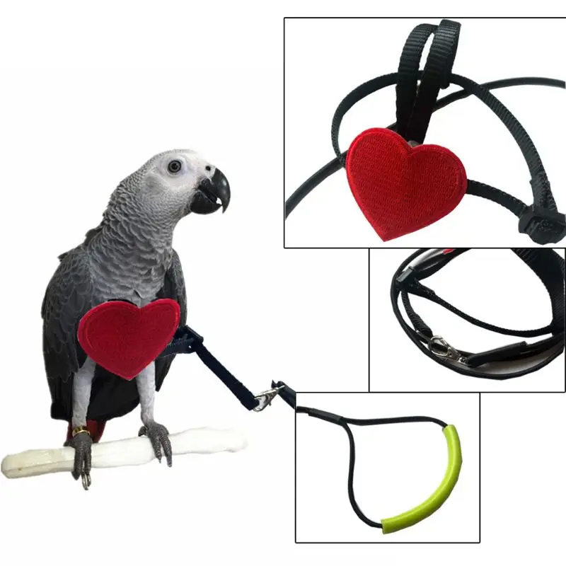 

Parrot Birds Anti-bite Flying Training Rope Bird Ultralight Harness Leash Soft Portable Pet Birds Supplies C42