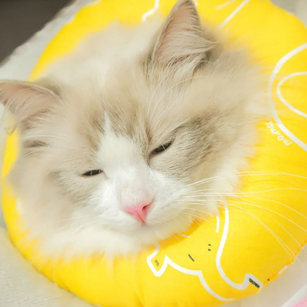 307641_no-logo_307641-1-03-g