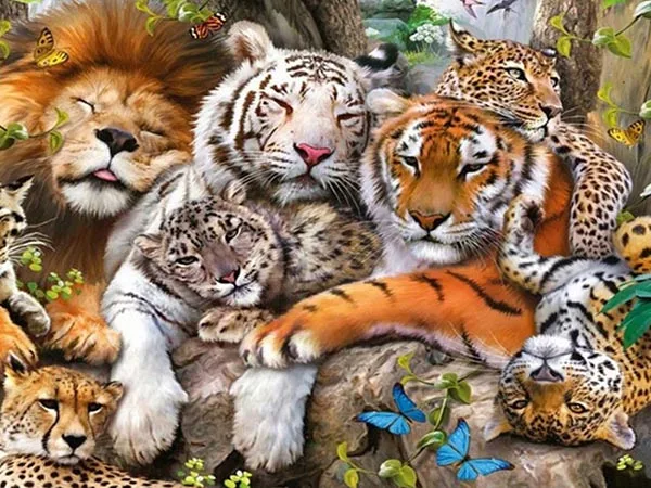 

5D DIY Diamond Painting Dogs Cats Painted Cartoon Animal Mosaic Embroidery Cross stitch Embroidery Crafts Decoration home decor