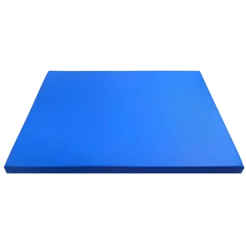 

1Pc Floor Mat Sanitizing Mat Sponge Entrance Mat for Home Factory