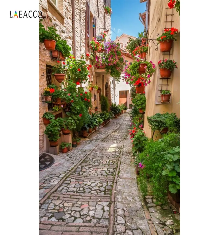 Laeacco Старый город горшках с цветочной Alley коридор дом живописные фото Фоны фотографии фонов для фотостудии