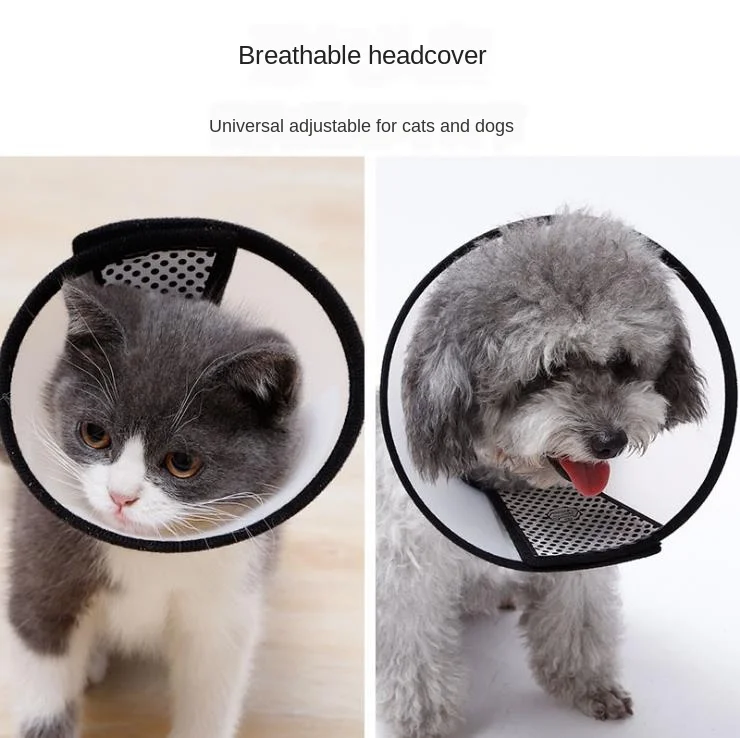 Cat and dog headgear pet supplies Elizabeth ring beauty cover neck collar cute cat cat collar puppies collar Cat and dog headgear pet supplies Elizabeth ring beauty cover neck collar cute cat cat collar puppies collar