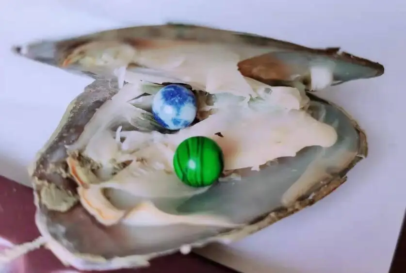 Драгоценные камни Oyster новейшие OYSTER с 9-10 мм камни 12 Случайных Смешанных внутри пресноводных oyster DIY ювелирные изделия 10 шт N163