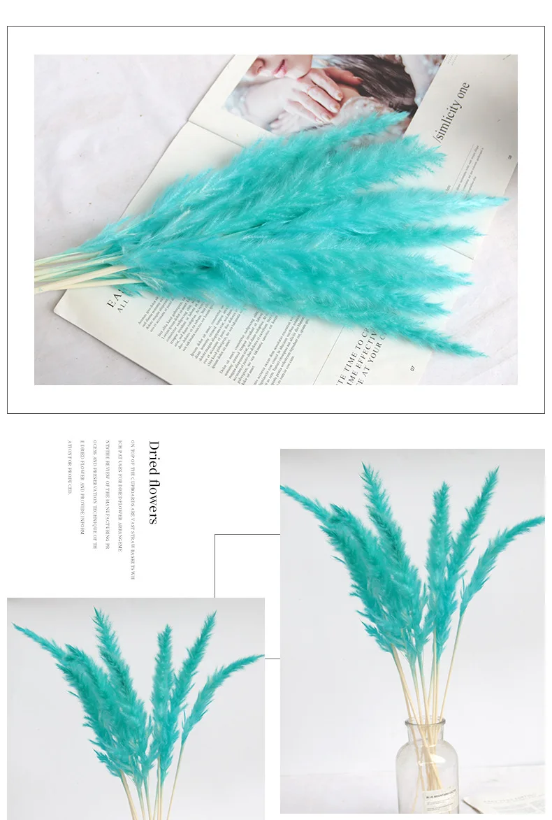 H64ddfb20669e480ea82e2e35e5e19b03j