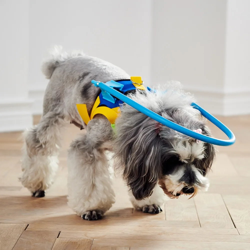 293327_no-logo_293327-1-07