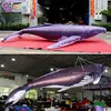Factory Wholesale 3~12M Length Giant Inflatable Whale For Sale / 10 ft Inflatable Killer Whale Balloons - Toys 6