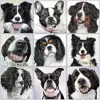 Dog DIY Diamond Animal Painting Kits 1