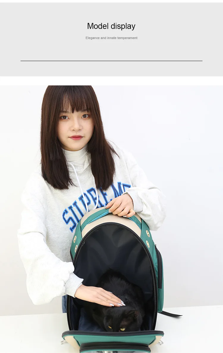 12653197744_686886075