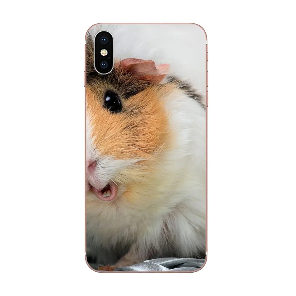Прекрасный белка морская свинья мышь для Huawei Honor Nova Note 5 5I 8A 8X10 Pro 9X Moto G G2 G3 G4 G5 G6 G7 Plus