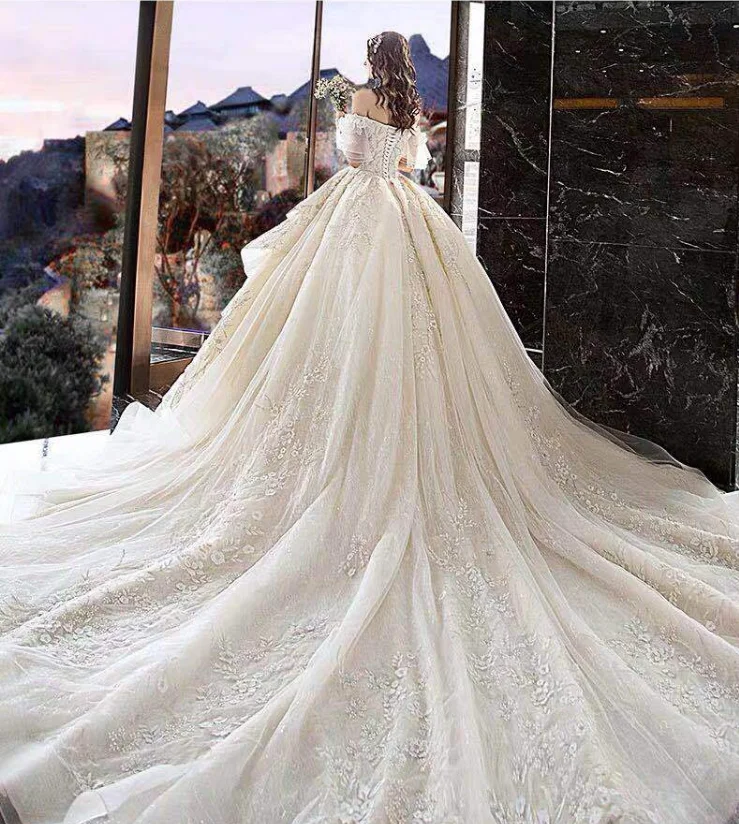 Alilove бальное платье/v-образный вырез/открытая спина/белый/с открытыми плечами/простой//стиль/свадебное платье с рукавами/кружево/прямой/для женщин/Люкс