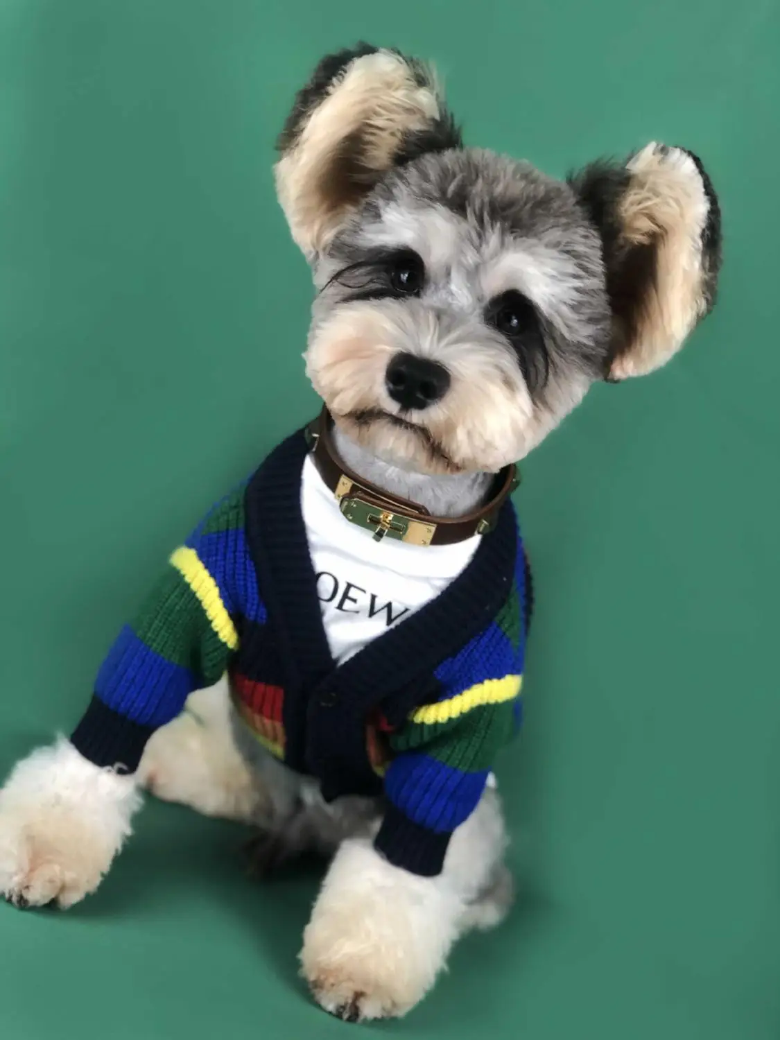 Новые яркие полосы свитер для собаки, для питомца собаки одежда цвет голубой, розовый; очень мягкая на ощупь ткань наряд для небольших