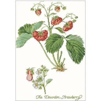 

Strawberry(2) patterns Counted Cross Stitch 11CT 14CT 18CT DIY Chinese Cross Stitch Kits Embroidery Needlework Sets