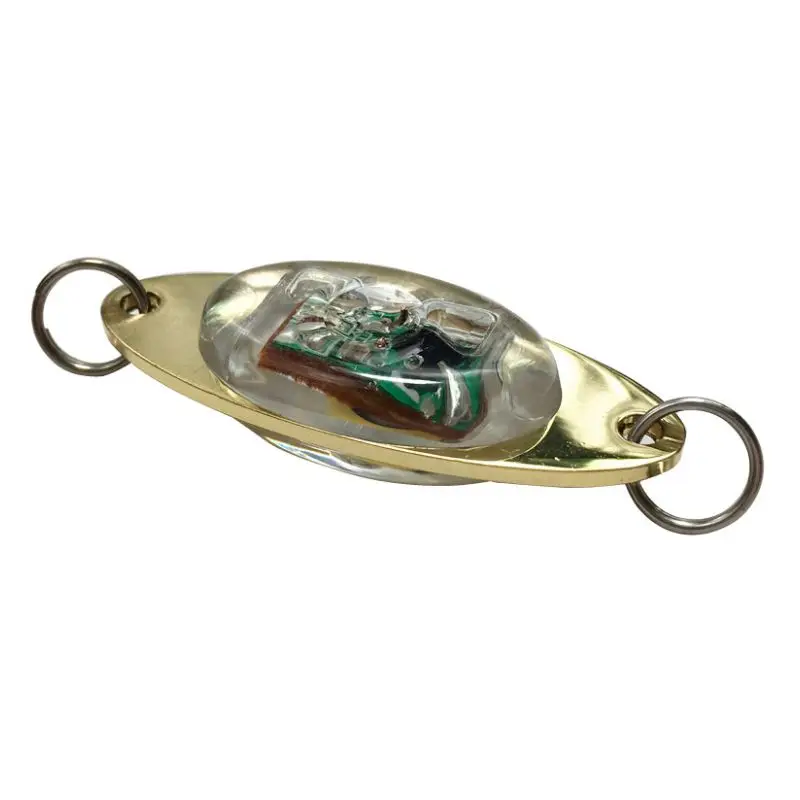 

ABUO-Flash Lamp 6 cm/2.4 inch LED Deep Drop Underwater Eye shape Fish Squid Fish Lure Light multicolour