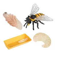 Lot of 4 Nature Bee Growth Cycle Child Education Learning Teaching Toys，Realistic 2