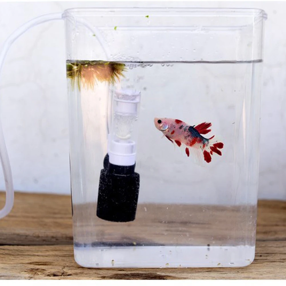 Fish Tank Cleaning Tool Practical Low Noise Water Purify Nitrifying Bacteria With Pipe Filter Aquarium Air Increase Pneumatic