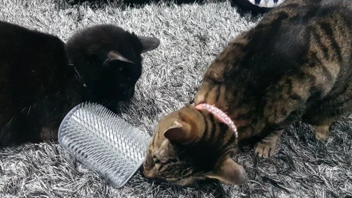 U58ae6db1aefe46b1a4f15774faa9bd5dH