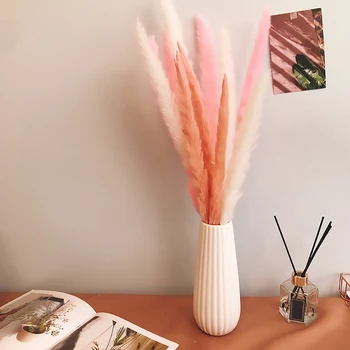 

7Pcs Dried Plants Pampas Grass Natural Phragmites Communis Wedding Flower Bunch Fake Flowers For Home Decoration High Quality