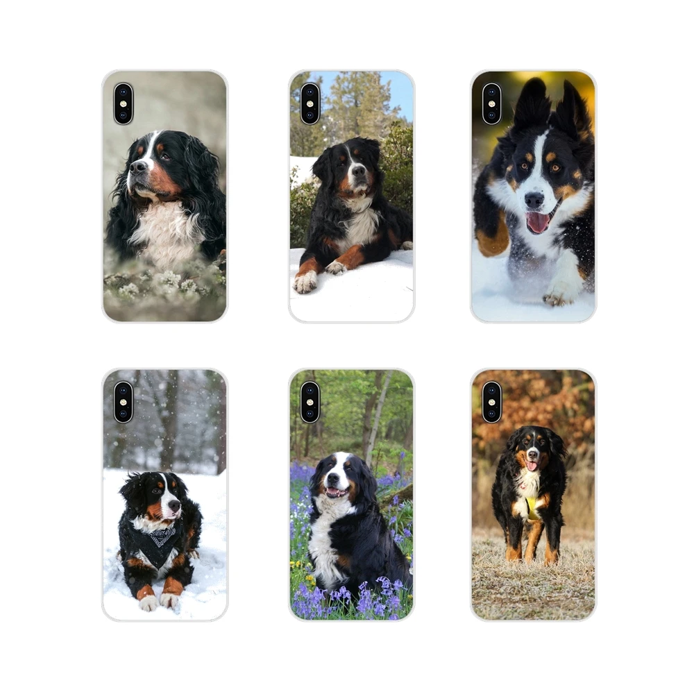 For Samsung Galaxy J1 J2 J3 J4 J5 J6 J7 J8 Plus 2018 Prime 2015 2016 2017 Accessories Phone Cases Covers Bernese Mountain Dog | Мобильные