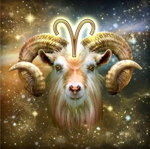 360截图20190808003255983